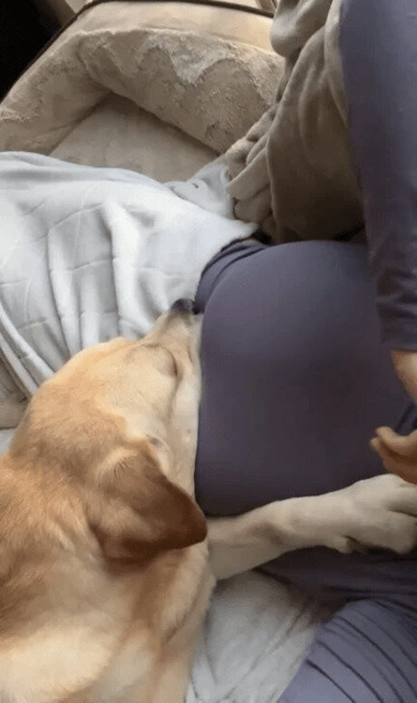 BustyMor N pornstar hot picture