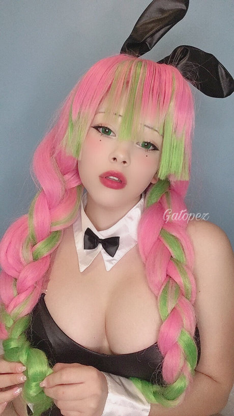 Gato Pez perfect star photos