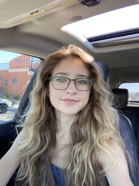 Knights Ry model perfect galleries