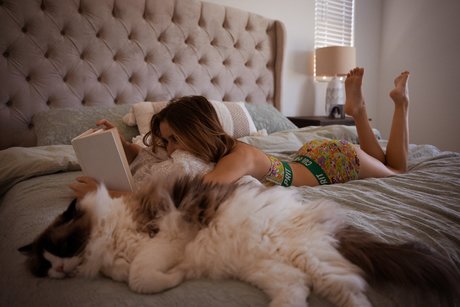 Knights Ry pornstar beautiful archive