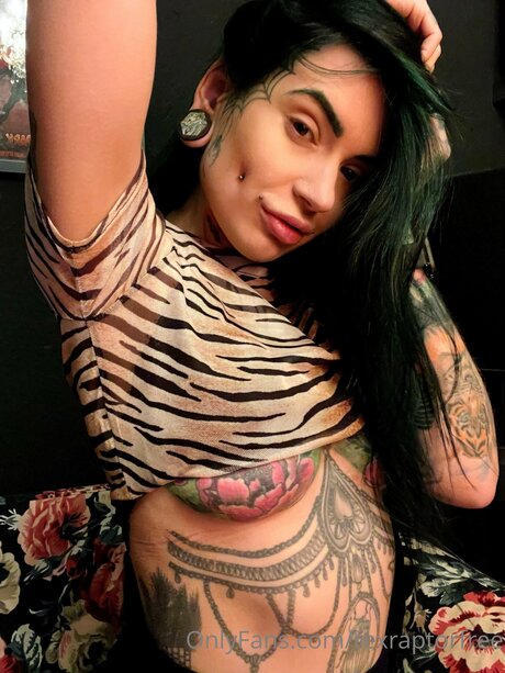 Rexraptorfree star pretty photo