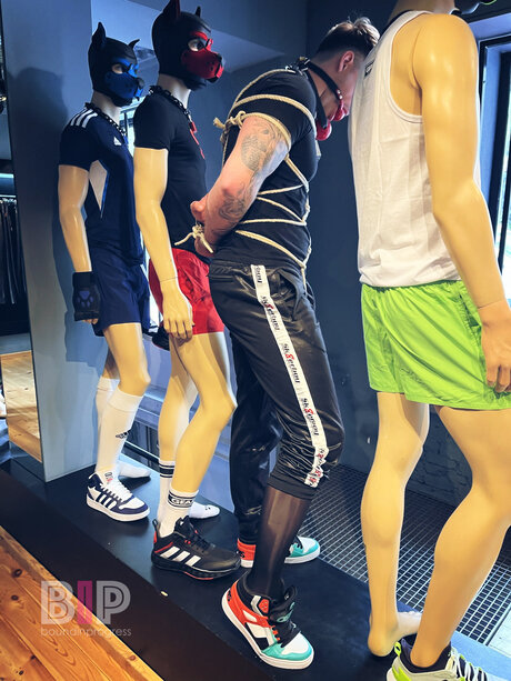 hottest midget onlyfans pornographic archive