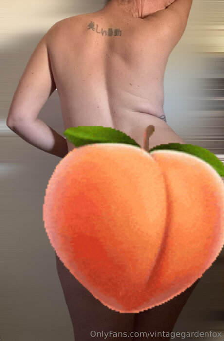 Vintagegardenfox beautiful actress gallery