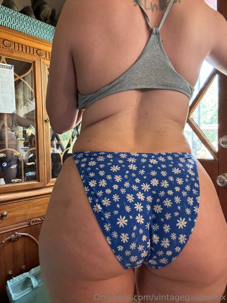 Vintagegardenfox model sexy photo