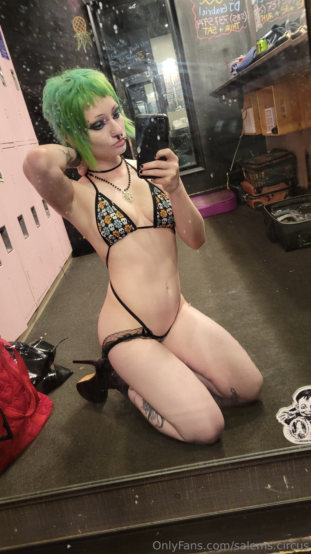 Salems Circus high quality model pics