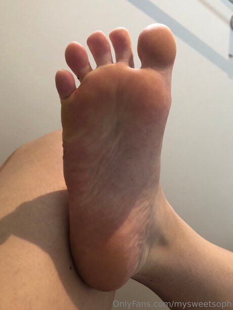 Mysweetsoph star art galleries