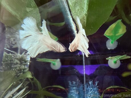 fitness pussy onlyfans sexy img