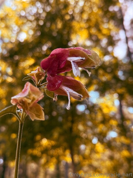 anal interracial onlyfans nice images