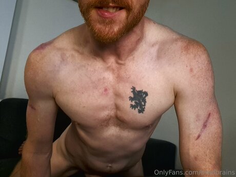 Bradbrains perfect pornstar img