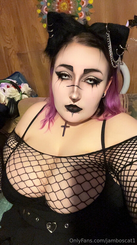 Jamboscat1 perfect star picture