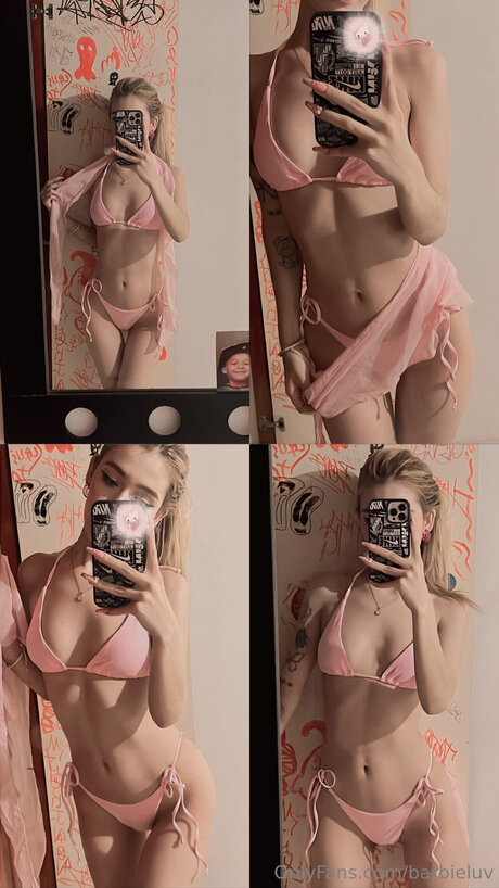 Barbieluv nice star gallery