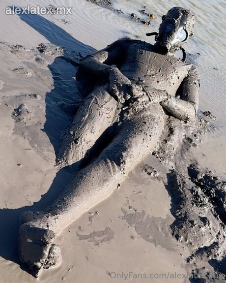 alexlatex mx perfect star gallery