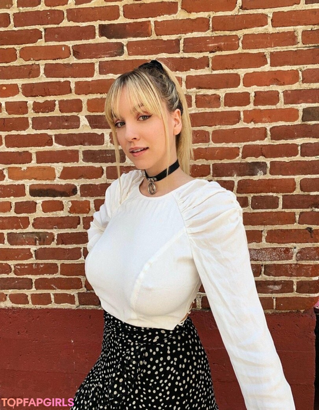 paigexylo star img