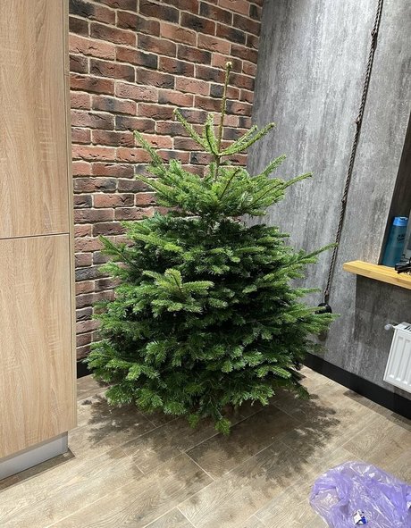 mirniy model perfect photo