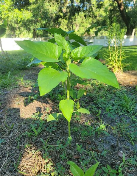 fat pussy onlyfans naked pics