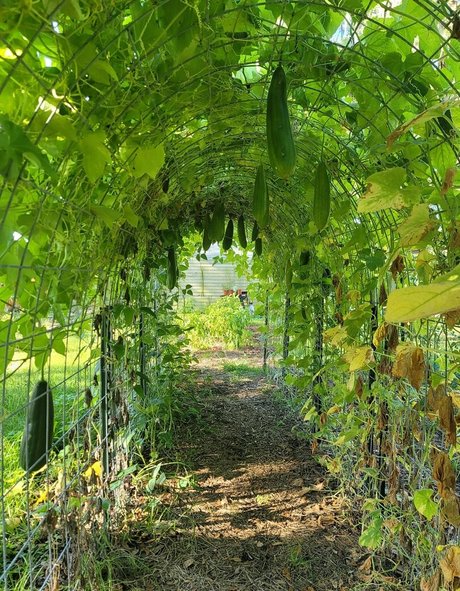 deealice sexy model gallery