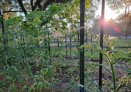 deealice art model galleries