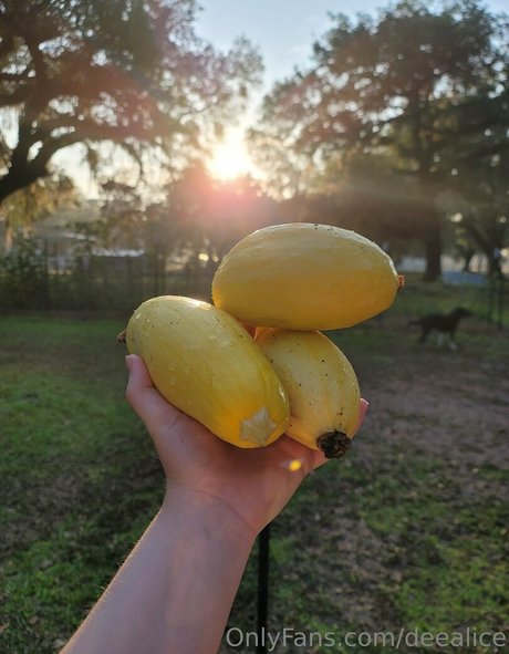 deealice actress archive