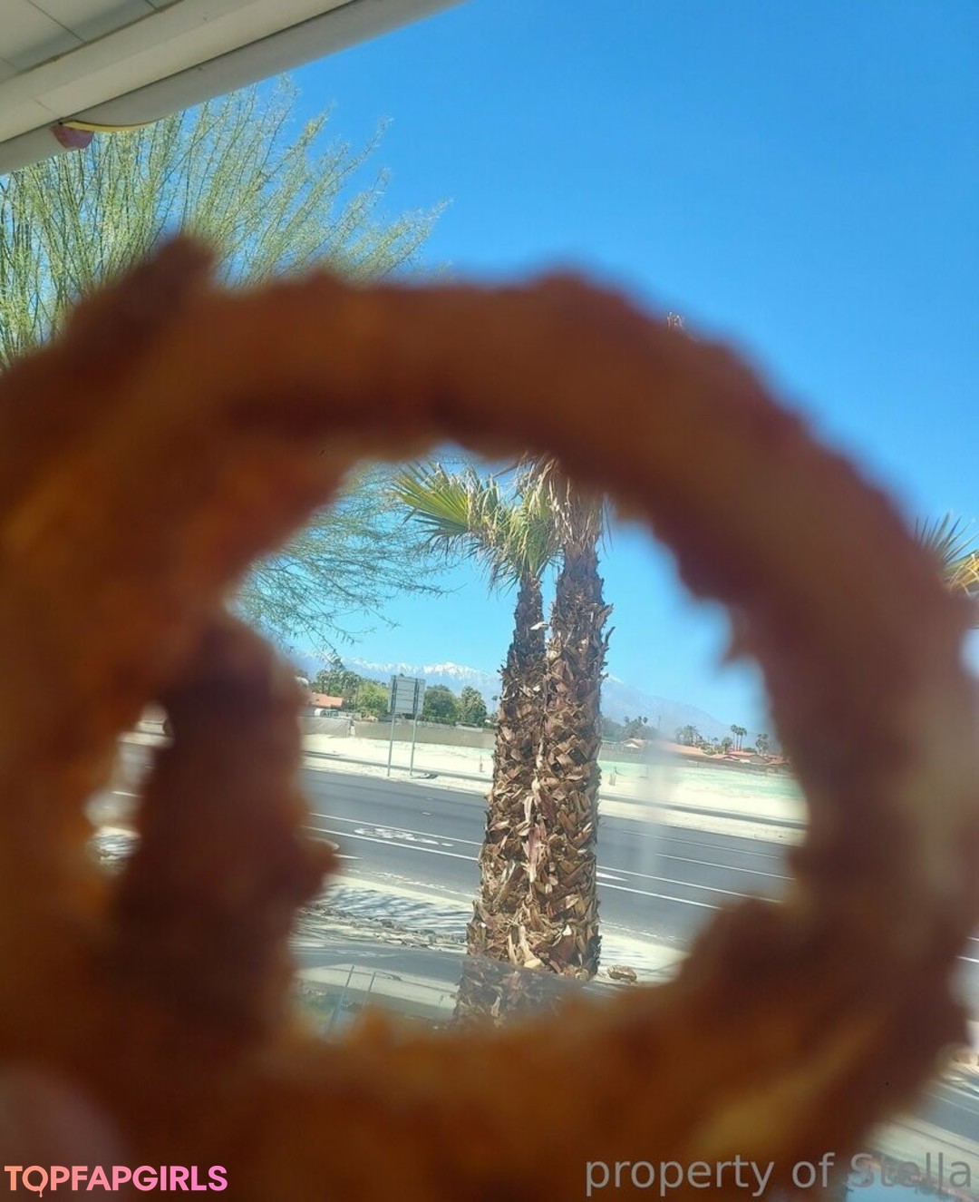 stellaaeternum star perfect pictures