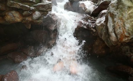 shizukachan0701 beautiful star pictures