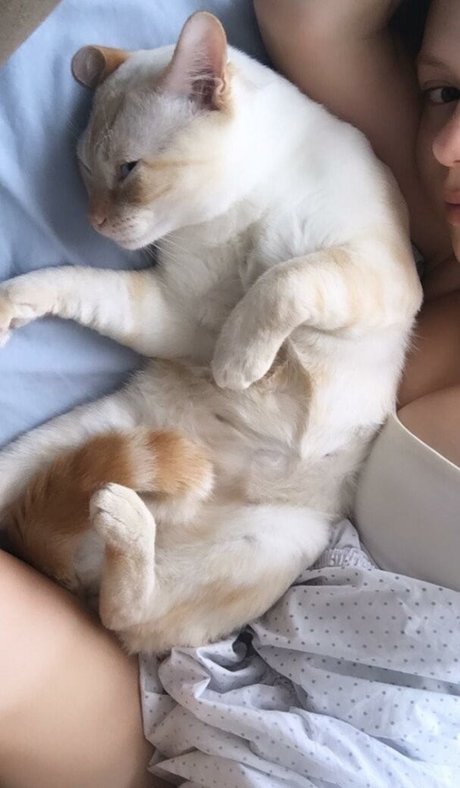 gbrllareis sexy star picture