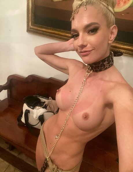 videos onlyfans art nude photo