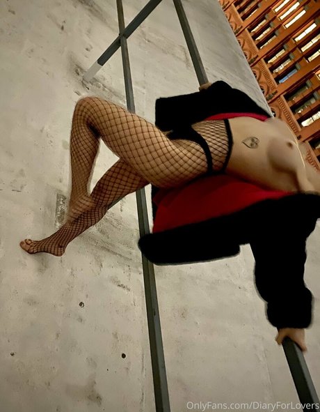 diaryforlovers top profile image