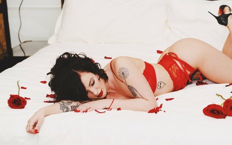 diaryforlovers profile image