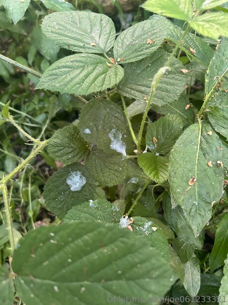 petite bbc onlyfans art naked archive