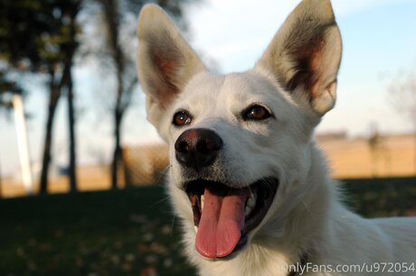 Loneranger2017 pornstar best pic