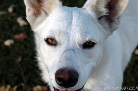 Loneranger2017 sex star images