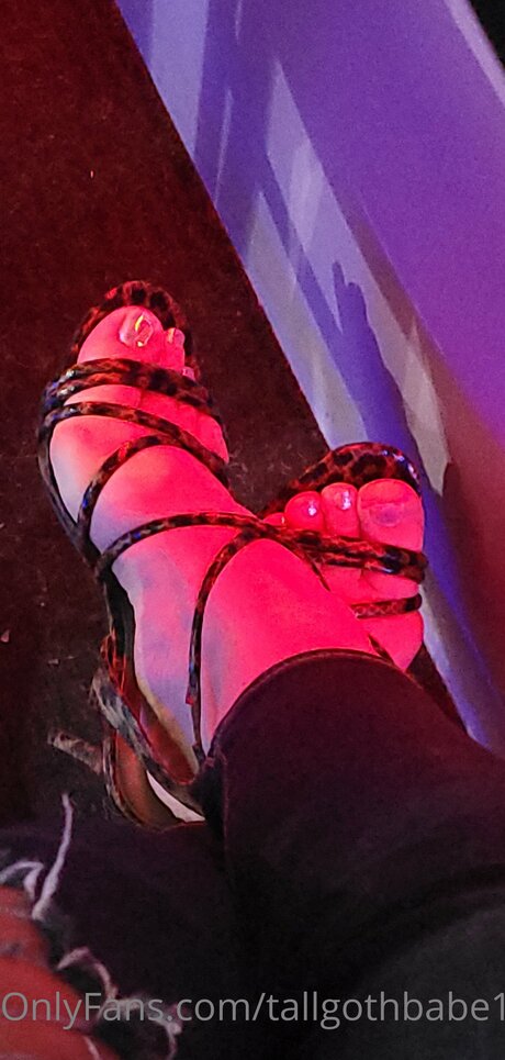 Tallgothbabe14 profile image