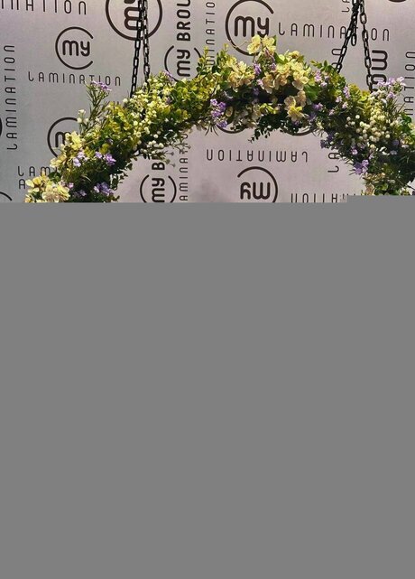 Ekaterinadaviss model art pic