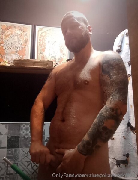 Bluecollarworker01 porn model photo