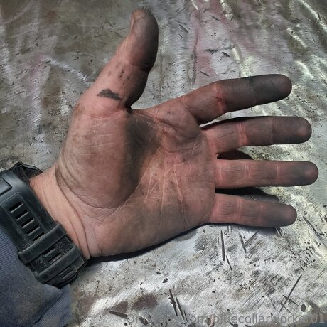 Bluecollarworker01 star sexy pic