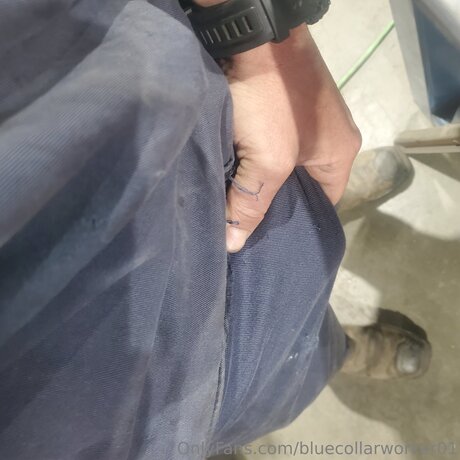 Bluecollarworker01 free star pics