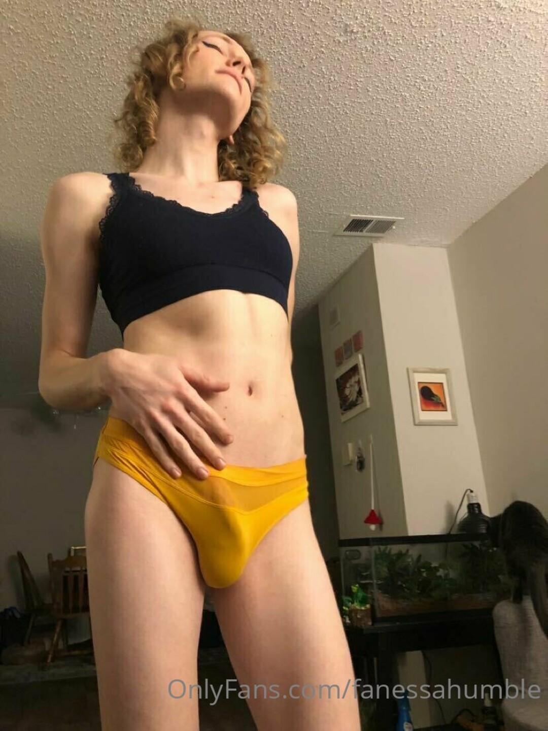 Fanessahumble pornographic star images