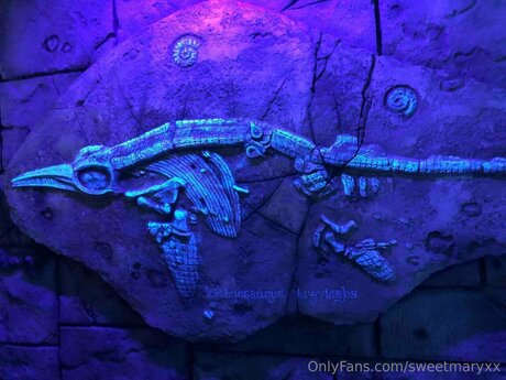 Rubyyexclusive exclusive star pics