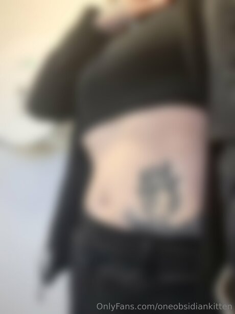 Oneobsidiankitten star top photo