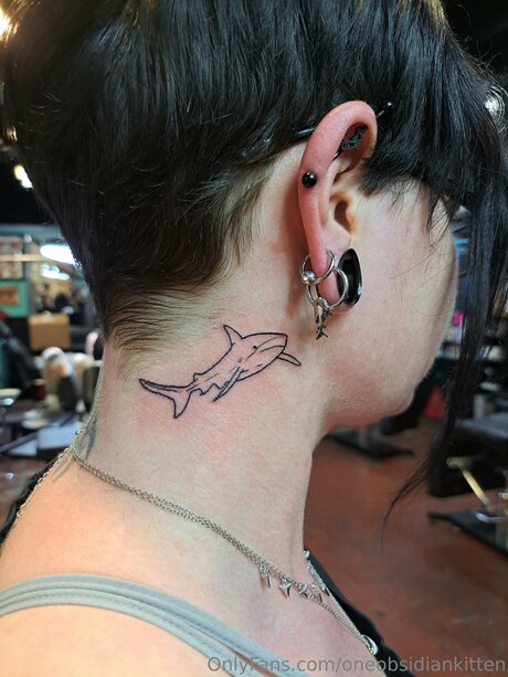 Oneobsidiankitten high quality star archive