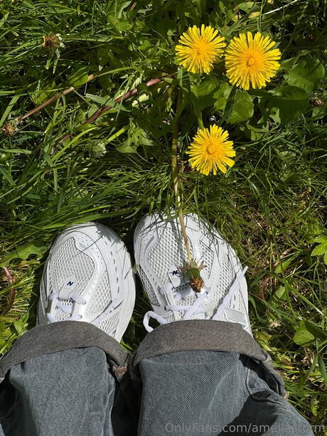 Ameliastorm star adult archive