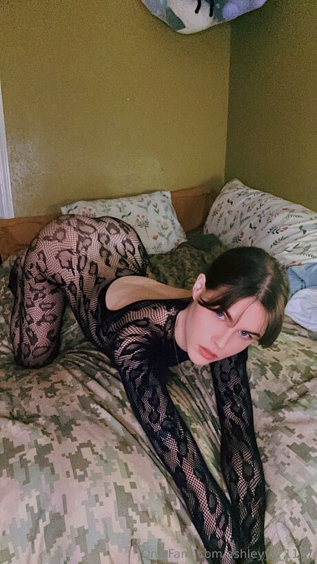 Ashleyyy 1177 pornstar xxx pics