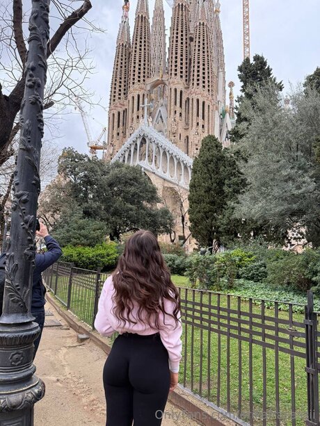 Erikafracassii star high quality image