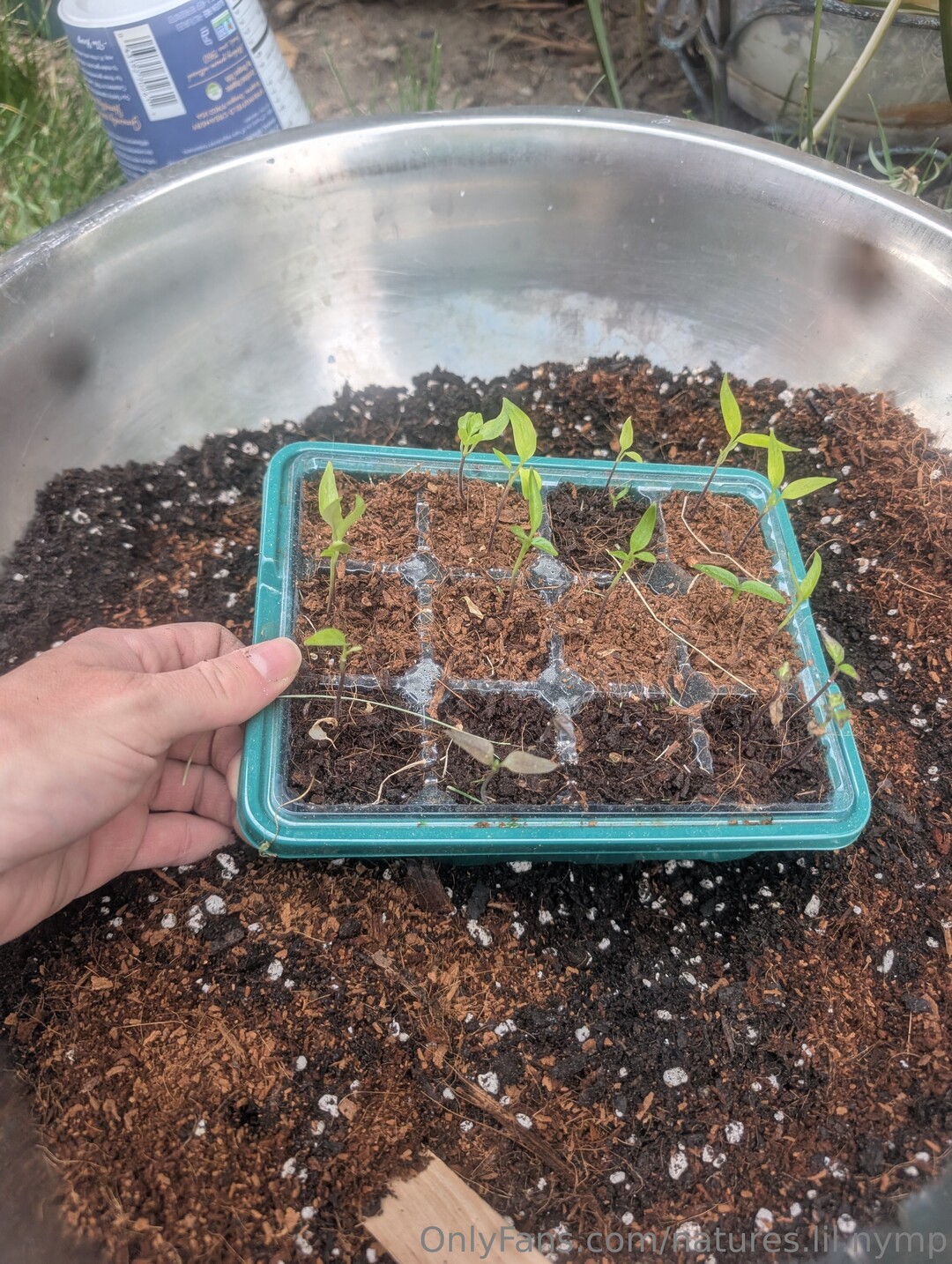 bbw lingerie onlyfans perfect picture