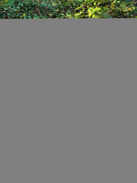 lesbians onlyfans pornographic img