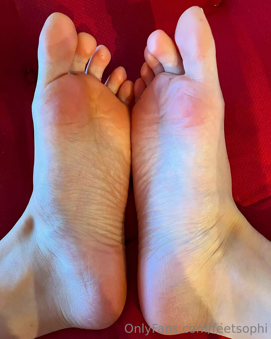 Feetsophi porn star photos