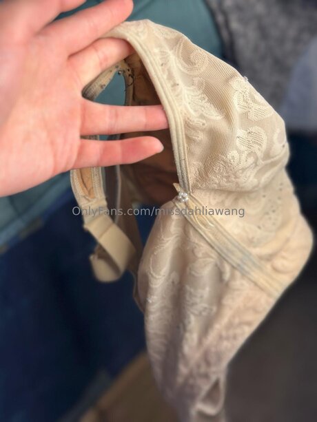 princess asian onlyfans pornographic image