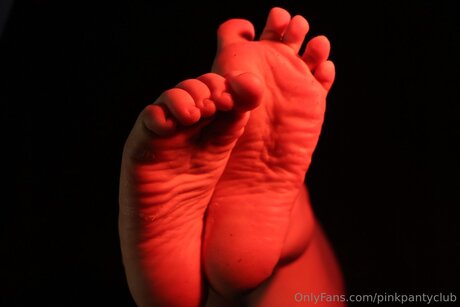 Pinkpantyclub pornographic actress picture