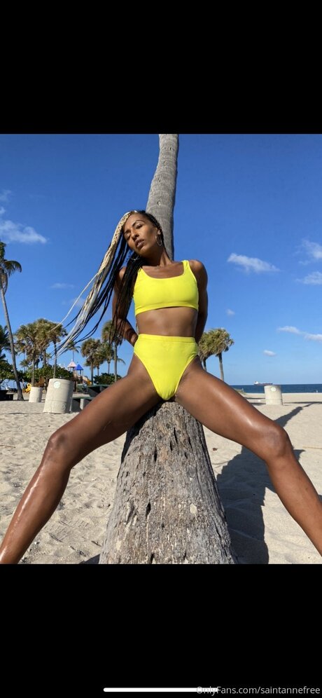 Saintannefree perfect pornstar photo