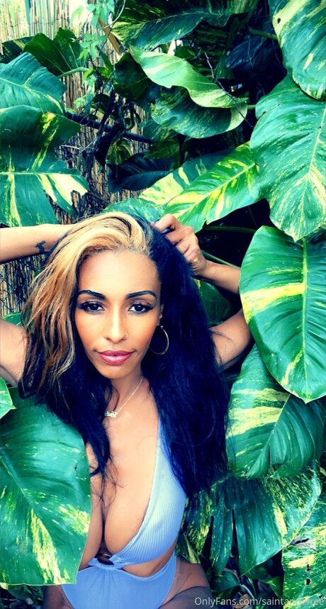 Saintannefree pornographic star images